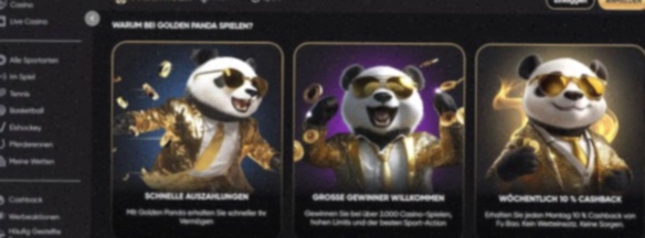 Betz Casino Nederland