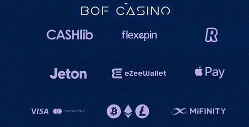 Bonanza Casino Login App