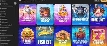 Casino Met Paysafe Login App