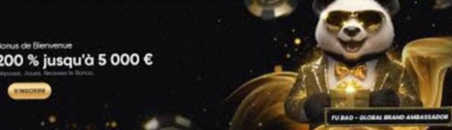 Nieuw Nederlands Casino Nederland App