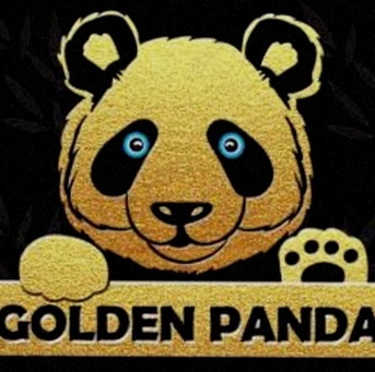 Online Casino Maestro