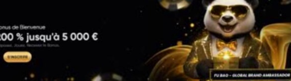 Casino Action Login Nl