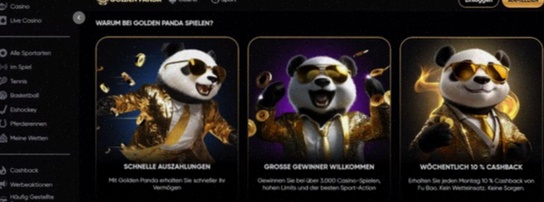 Gala Casino Nederland bonus