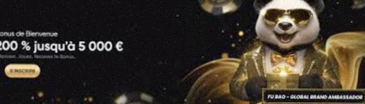 Holland Casino App Nederland