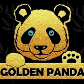 Golden Ten Casino betaalmethoden